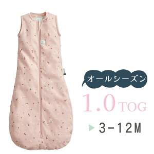 yK̔XzergoPouch GS|[` W[W[X[sOobO 1.0TOG xr[ACe Q܃^Cv X[p[ 3 weskiii EFXL[