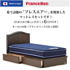 フランスベッドマジョリーノ501-DRBAE(引出し収納付)