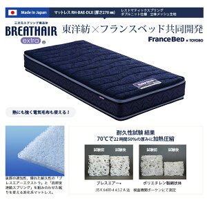 フランスベッドマジョリーノ501-DRBAE(引出し収納付)