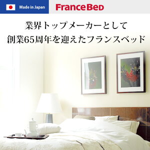 フランスベッドマジョリーノ501-DRBAE(引出し収納付)