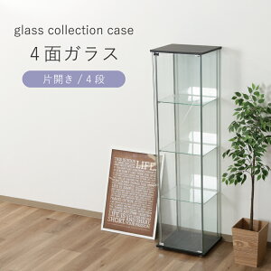 KXRNVP[X 4i t 4ʃKX KX fBXvC [ CeAƋ rO   Vv TMG-G21 uE sf