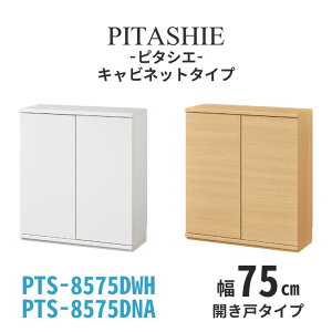 y12/10聚I2l1lő100%|CgobNvGg[zLrlbg s^VG J˃^Cv 75cm s30cm 85cm g SHIRAI Y [ {I I[vbN `FXg P