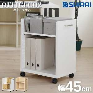 ItBXR2 TChS LX^[t OF2-6045P ONA-6045PNA OBK-6045PBK 45cm Vv zCg  i` ubN  A4 VFt Y fXNS fXN胏S