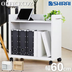 ItBXR2 TChS LX^[t OF2-6060P ONA-6060PNA OBK-6060PBK 60cm Vv zCg  i` ubN  A4 VFt Y fXNS fXN胏S