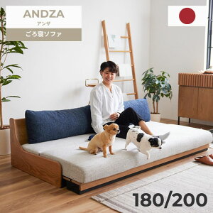 y11/5聚I2l1lő100%|CgobNvGg[zAU ANDZA [u Q\t@ [^Cv {Y \t@xbh ʍ25cm CgEF[u C Be[Wi`