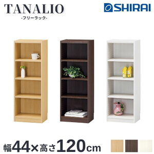^iI Y Tanalio TNL-1244 J[bN 44cm 120cm {I I[vbN [ Vv  i` zCg _[N NA WH DK gi