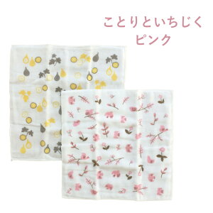 y11/5聚I2l1lő100%|CgobNvGg[zӂӂ8dK[[ ӂ2Zbg knit kobo .h Lb`ACe 100% 䏊pi G  Vv Mtg v[g 