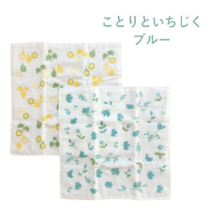 ӂӂ8dK[[ ӂ2Zbg knit kobo .h Lb`ACe 100% 䏊pi G  Vv Mtg v[g 蕨 KYI2031 cD AhoXhA