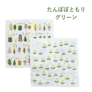 ӂӂ8dK[[ ӂ2Zbg knit kobo .h Lb`ACe 100% 䏊pi G  Vv Mtg v[g 蕨 KYI2031 cD AhoXhA