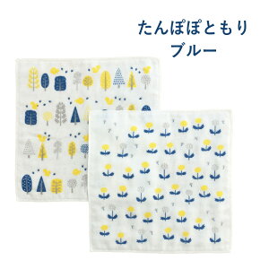 y12/5聚I2l1lő100%|CgobNvGg[zӂӂ8dK[[ ӂ2Zbg knit kobo .h Lb`ACe 100% 䏊pi G  Vv Mtg v[g 