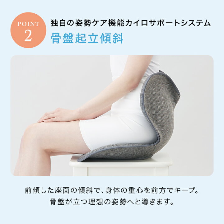 楽天市場】姿勢ケアシート Style Standard スタイル スタンダード F01 