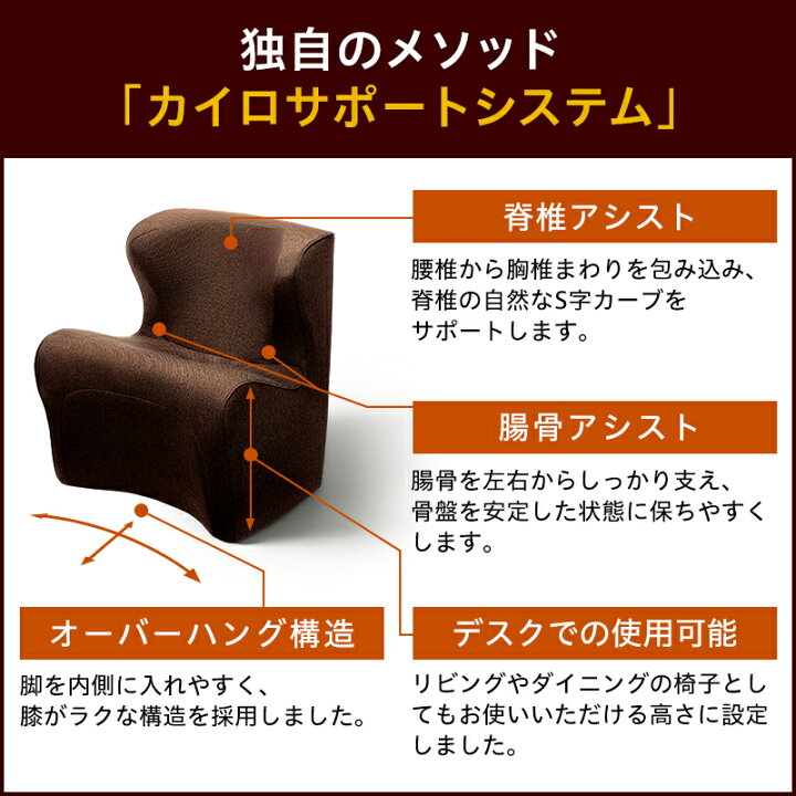 楽天市場】Style Dr.CHAIR Plus スタイル ドクターチェア プラス 姿勢 