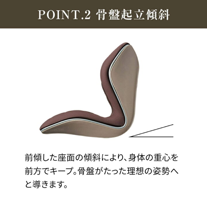 楽天市場】【期間限定 10%OFF】姿勢ケアシート Style PREMIUM スタイル 