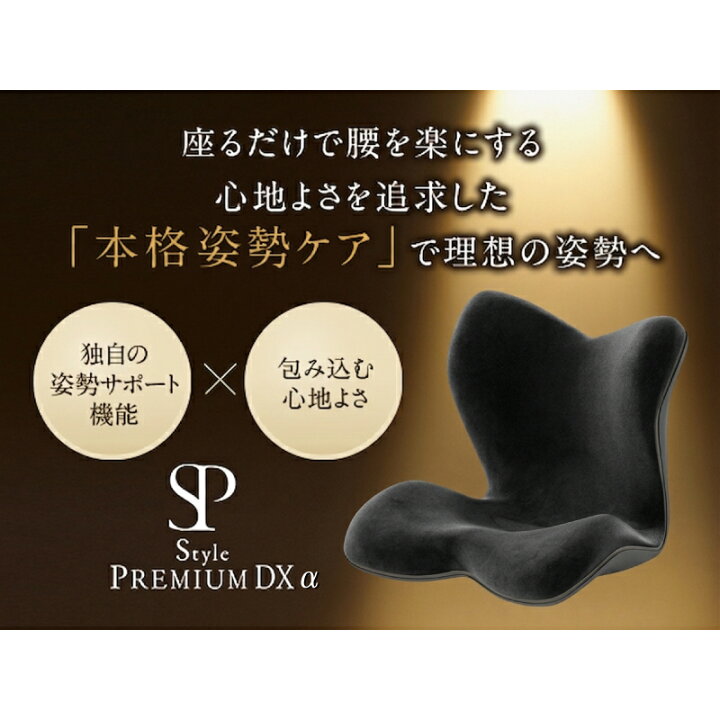 楽天市場】姿勢ケアシート Style PREMIUM DX スタイル プレミアム  