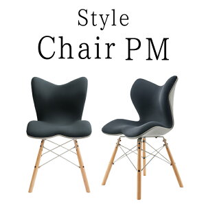 Style Chair PM X^C N`FA MTG pPA Ջ T|[g  Lw pP {fBCN ՃT|[g`FA