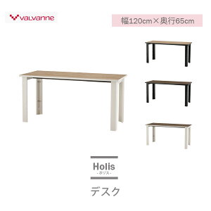 fXN DD-H120E Holis -zX- 120cm s65cm [NfXN oo[j Iׂ4F Vv zAfqhdl 2z