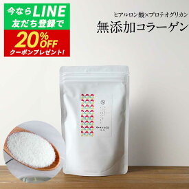 【スーパーSALE】コラーゲン 粉末 コラーゲンパウダー ヒアルロン酸 プロテオグリカン (100g) 国産 サプリ ペプチド ドリンク コラーゲン 無添加 無着色 無脂肪 糖質0 上質 続けやすい 無味無臭 美容 美容・健康粉末 オトメノシクミ 送料無料