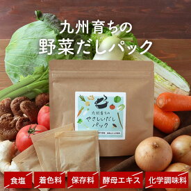 野菜だし だしパック 出汁 パック だし 無添加 国産 出汁 野菜 食塩不使用 酵母エキス不使用 九州産 ブイヨン 玉ねぎ キャベツ 白菜 大根 セロリ トマト ごぼう しいたけ 人参 生姜 味噌汁 子ども 健康 栄養 5g×10包 送料無料