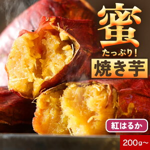 �V���i�����L�O�I�N�[�|�� ���s���I���������Y �g�͂邩 �������Ղ� �Ă��� ���g���g �Ă��� �퉷�ۑ� S�T�C�Y���I ���܈� �����^�ѕ֗� ����� �f�U�[�g �����Ƃ�Â� �q�ǂ� ���߂Ă� 