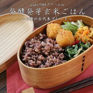 y 茺 (160g×5HpbN) pbN  茺  ԕ Ε _ uh e N AgVAj |tFm[ ^j NtB Ñ W JtF g