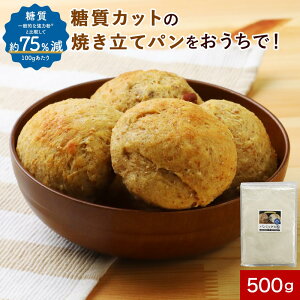 低糖質パンミックス粉 500g 低糖質 パンミックス ダイエット パン 小麦タンパク 糖質オフ 糖質制限 糖質カット ケーキミックス パンケーキミックス 送料無料 手作り 国産 お試し 使いやすい