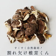 干し椎茸 国産 訳あり 割れ欠け椎茸くん 110g 送料無料 しいたけ 干ししいたけ 干しシイタケ ほししいた…