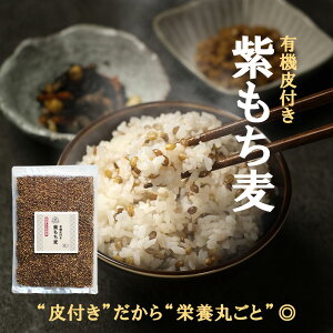 L@ t  500g Y _CV` F{Y ݔ H@ -OJ ^pN h{ N GI AgVAj _CGbg  ͂