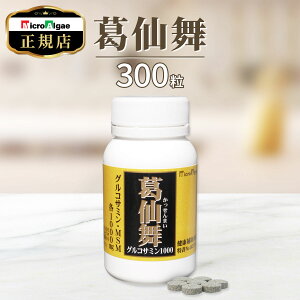 }CNAWF 啑  Tv 300 ӂԂHi G ֐ ȂL΂T|[g ORT~ RhC` MSM CVNQ yRRX2v[gz