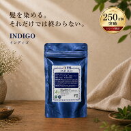 IPM ヘナ インディゴ 100g【エコ洗剤1個つき】 オーガニック 白髪染め 毛染め ヘナカラー 無添加 天然ハ…