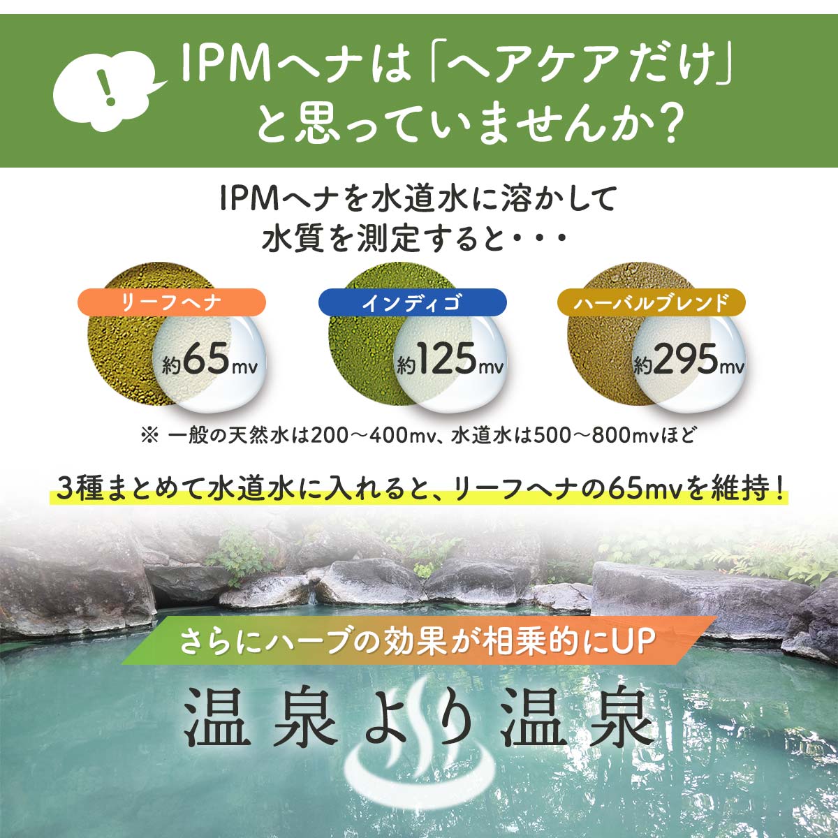 ギフト/プレゼント/ご褒美]IPM ヘナ インディゴ 100g エコ洗剤2個プレゼント中 カラーリング