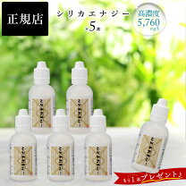 楽天市場】ケイ素 シリカエナジーの通販 