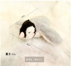 L    XgXU ^b`N  Lp lR A V ^s  L炵 dH΂ XY Ht  V~[V s Lǂ