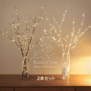 NX}Xc[ LEDCg u`c[   2{Zbg 80cm k  ObY k[hc[ NX}X  dr C~l[V NX}XI[ig k 