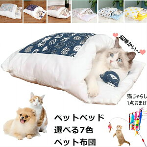 Lzc S`XL zc ybgxbh ybgpQ ybgzc L xbh  xbh L ӂƂ ybg }bg NbV Q LbgnEX 傫 킢 ybgnEX LObY  