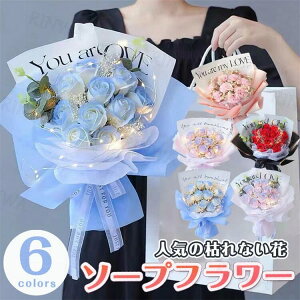 \[vt[  L[g V{u[P ԑ o  a v[g  FB ޏ  c j t[Mtg  j  Cj  t[\