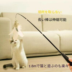 L炵 Lk bh ϙ| Ht lVёΉ qLp S݌v 360°] ނƃ^Cv