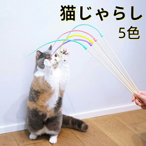 L炵 2{Zbg ˂݂̂   ˂ ނ XgX ^s ybgpi ͋[˂݂ ˂݂ lY~̌`