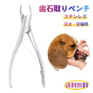 愛犬・愛猫用 歯石取り ペンチ 犬 歯石 デンタルケア ホームケア 猫 プロも愛用