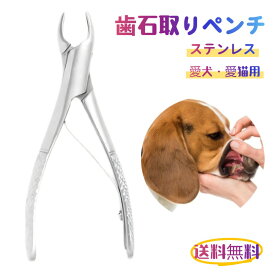 愛犬・愛猫用 歯石取り ペンチ 犬 歯石 デンタルケア ホームケア 猫 プロも愛用