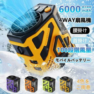 2025V |@ | xgt@ lbNN[[ nfBt@gѐ@ nfBt@  100iKʒ 6000mAh