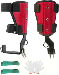 [悠]ؓo ؓoXpCNZbg ؓo蓹  2̒ AbvO[hꂽs[XXeb` xNfUC