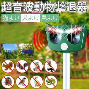 AbvO[h L悯 悯 悯 ފ Qbފ g/x/LED̓tbVCgŌ 6ރ[h PIRԊOZ