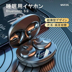 Cz bluetooth Cz CXCz DT4.0+Bluetooth5.3 uڑ I[vC[ Cz `Cz̊vV C