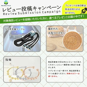 Bluetooth 5.0Xs[J[ hho/nYt[ʘb/]Ԏt/USB Type-C[d/IPX7h Xs[J[ BluetoothXs[J[ |[^u