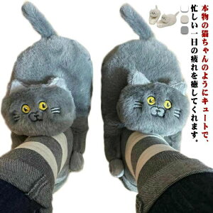 Xbp [V[Y fB[X L  ʂ  h ۉ  g H~ ӂӂ   É