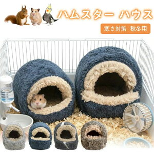 nX^[ nEX ~ ӂӂ   bg Q Q A h[^ 􂦂 z NbV _炩  nl