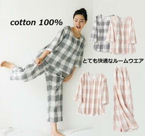 fB[XdK[[pW}㉺Zbg@Rbg100@tďHp@`bNK[EGA@蕔@QZbg