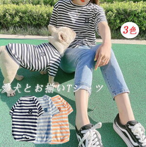 @ybgObY @ƂTVc@yAbN@jp@{[_[TVc@hbOEGA ^@^ @ybgpi  3F@Pii