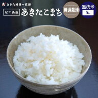令和7年産普通栽培　無洗米秋田県産 あきたこまち 5kg(5kg×1）生産者直送〈三郎米〉※沖縄県、離島への…