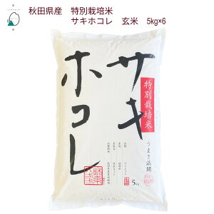 _ߘa7NYVā^s_tsātHcY ʍ͔|ā@TLzR 30kg(5kg×6jyߘa7NYzyYҒzqYārꌧEւ͕̔sƂĒ܂B